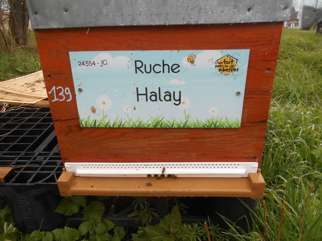La ruche Halay