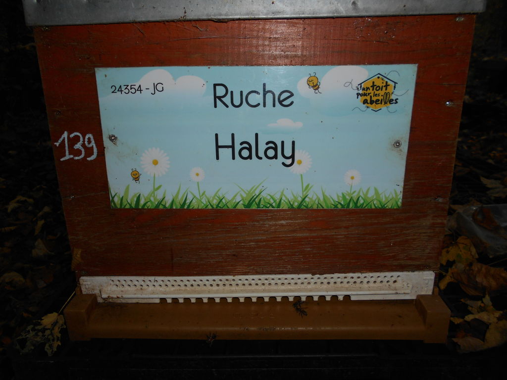 La ruche Halay