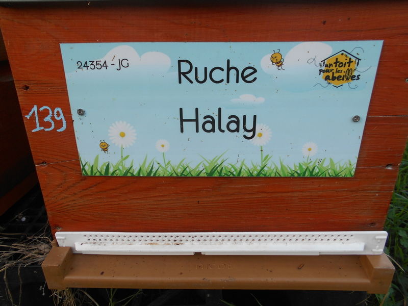 La ruche Halay
