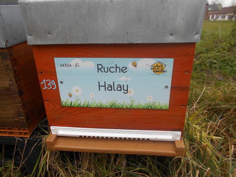 La ruche Halay