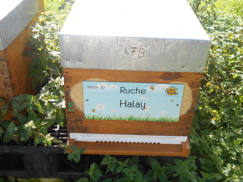 La ruche