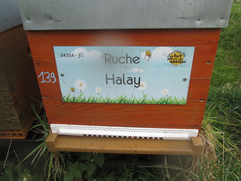 La ruche Halay