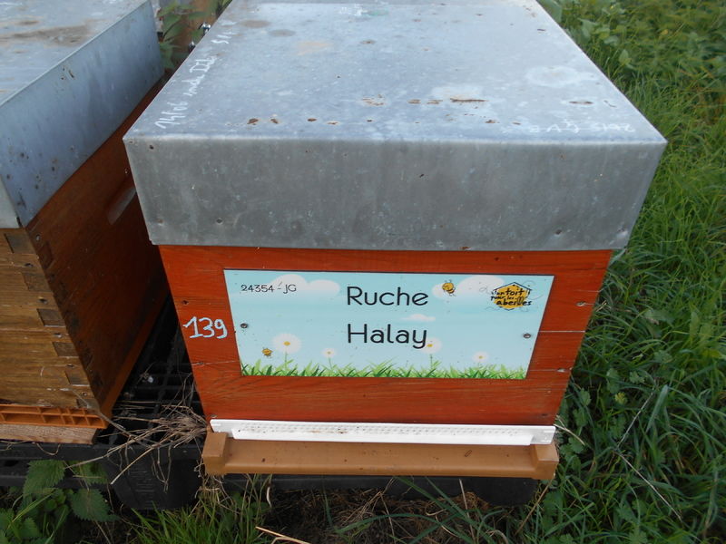 La ruche Halay