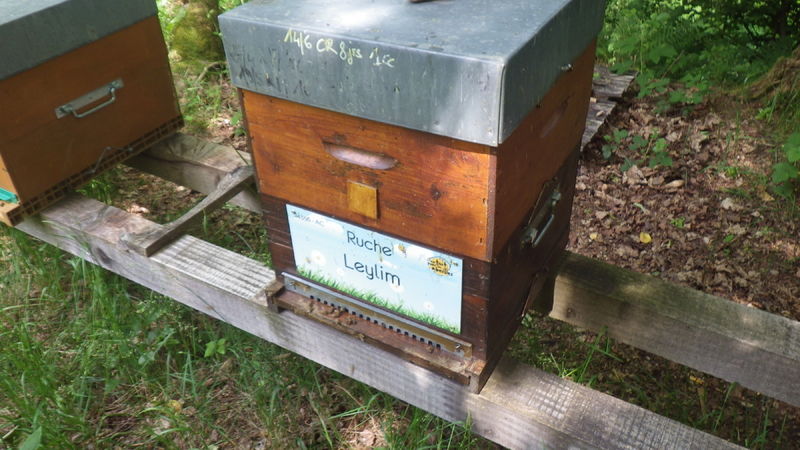 La ruche Leylim