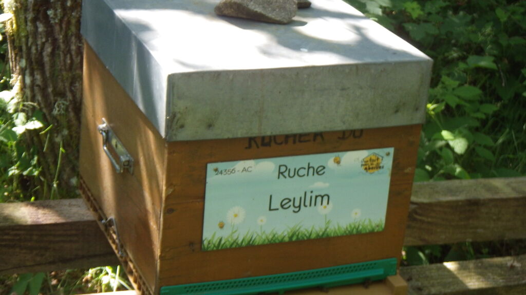 La ruche Leylim