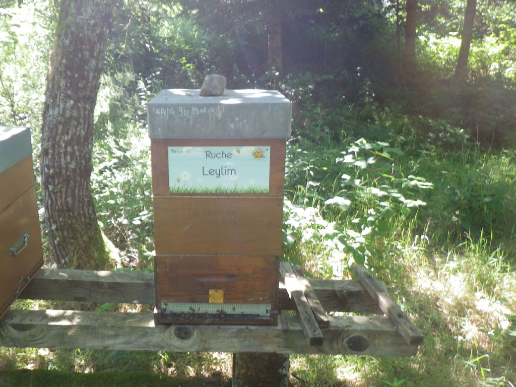 La ruche Leylim