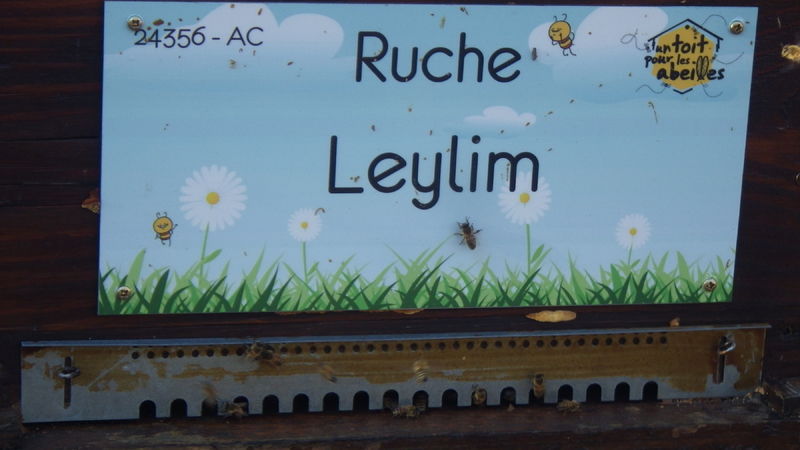 La ruche Leylim