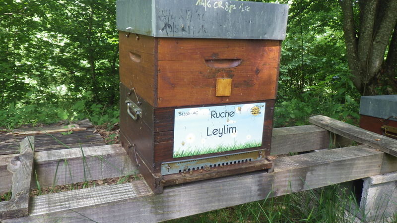 La ruche Leylim