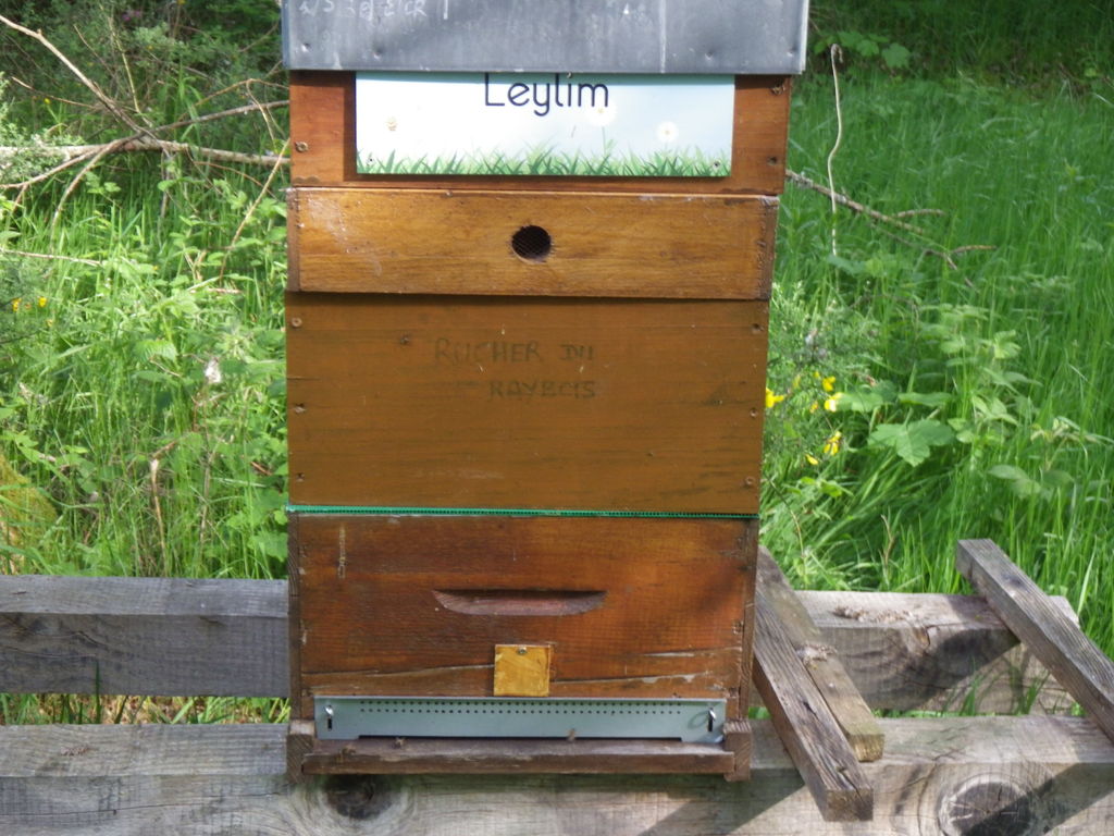La ruche Leylim