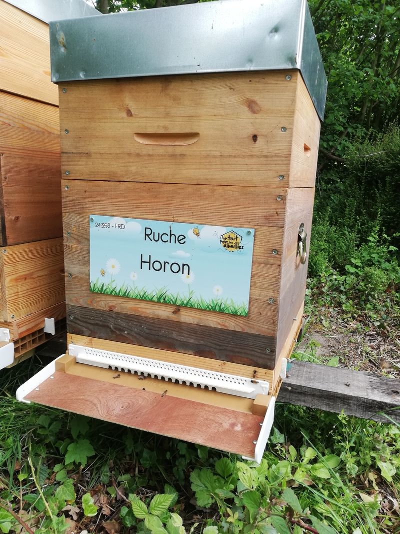 La ruche Horon