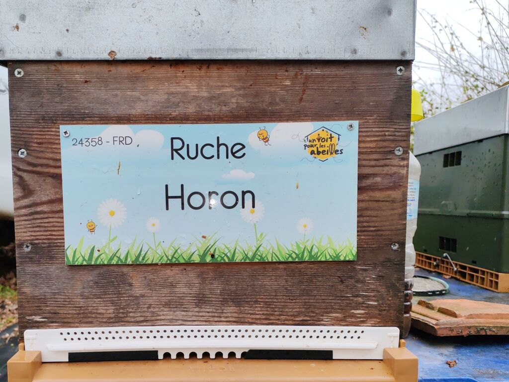 La ruche Horon