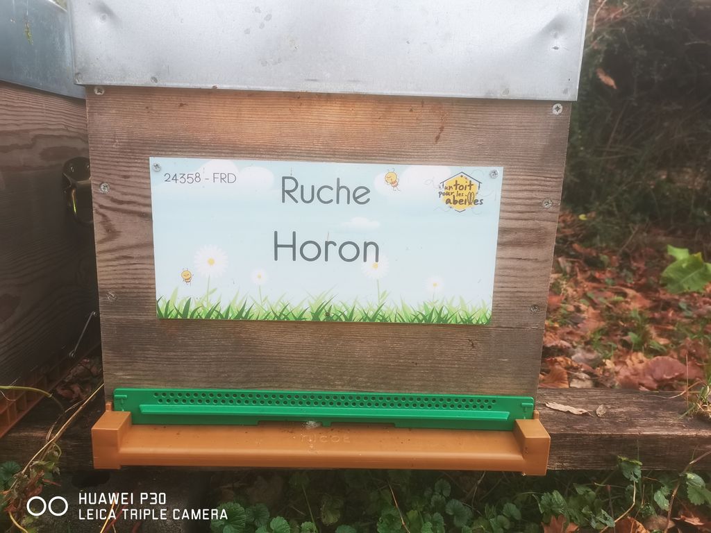 La ruche Horon