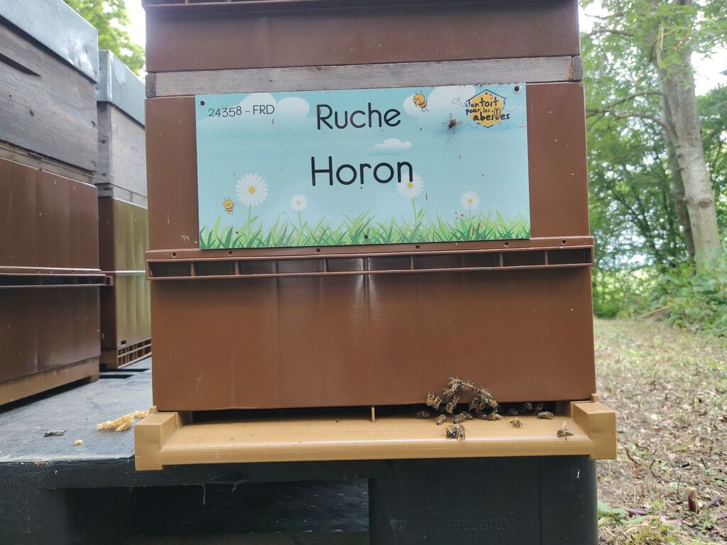 La ruche Horon