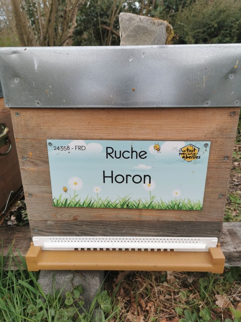 La ruche Horon