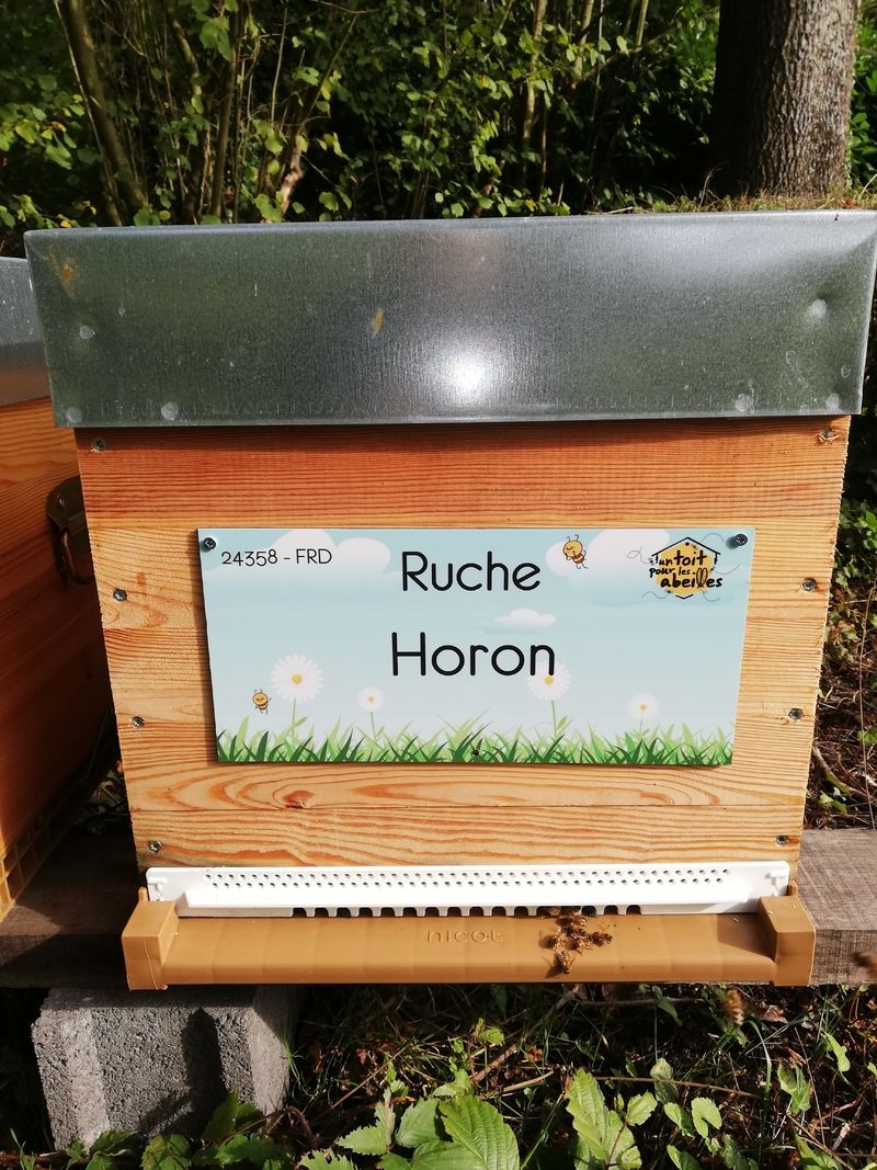 La ruche