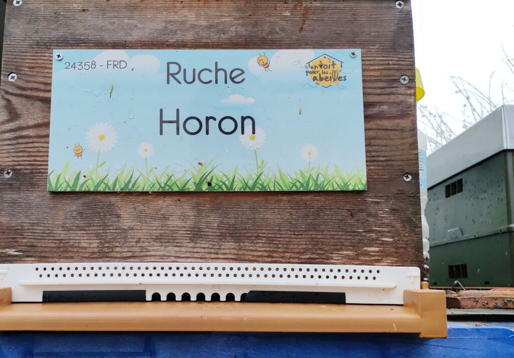 La ruche Horon