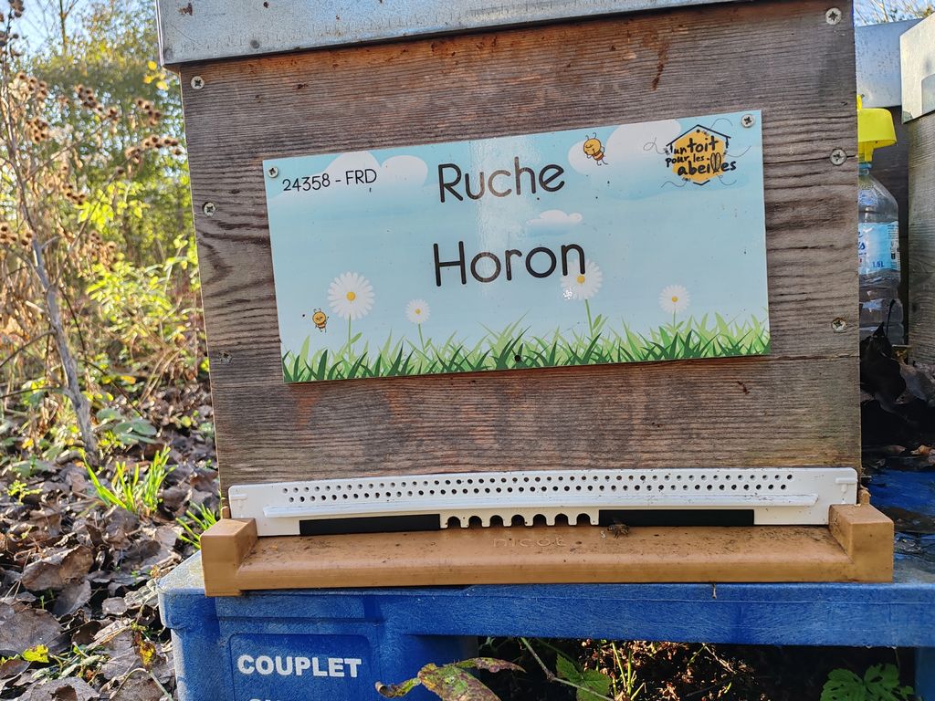 La ruche Horon