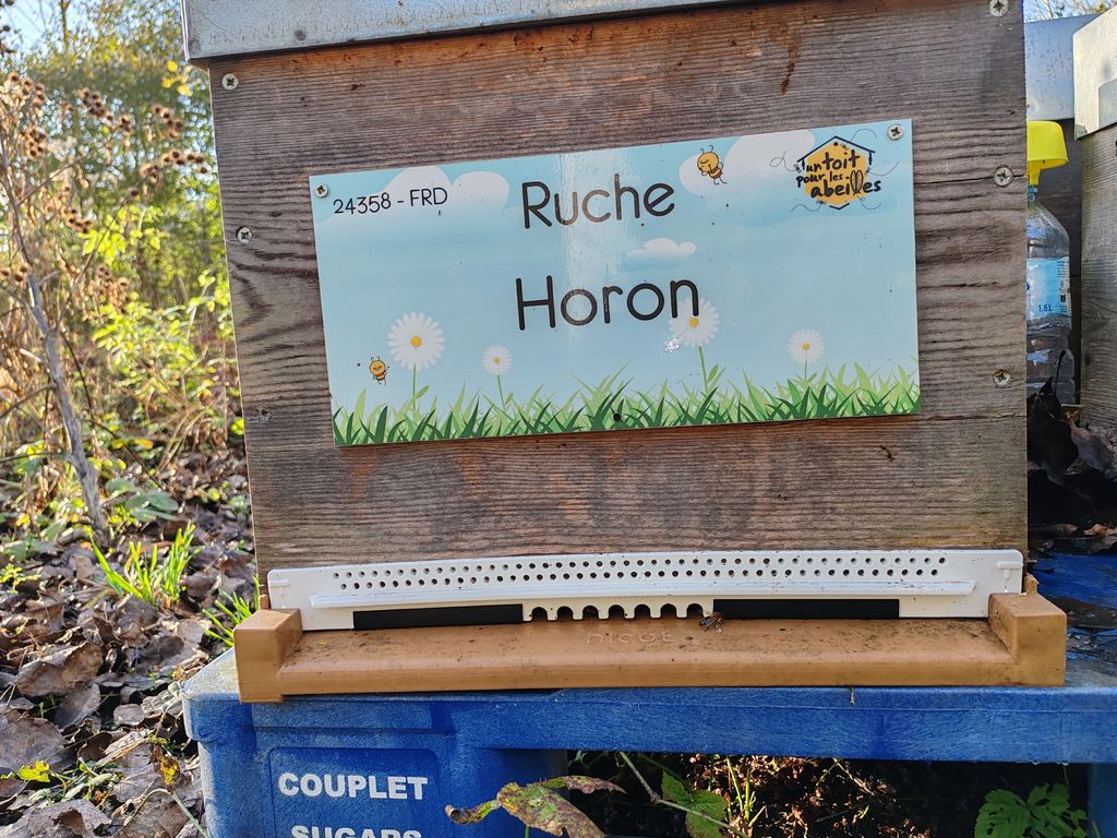 La ruche Horon