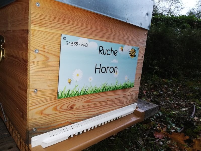 La ruche Horon