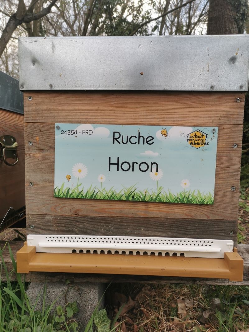 La ruche