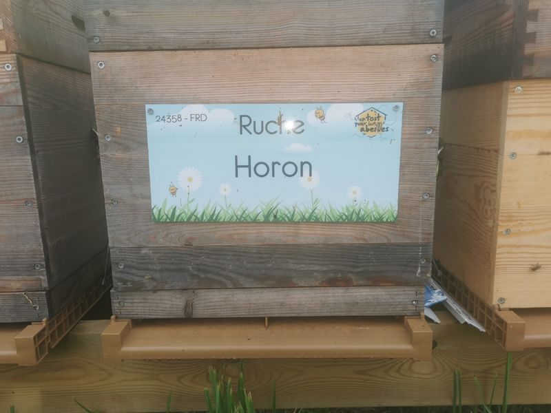 La ruche Horon