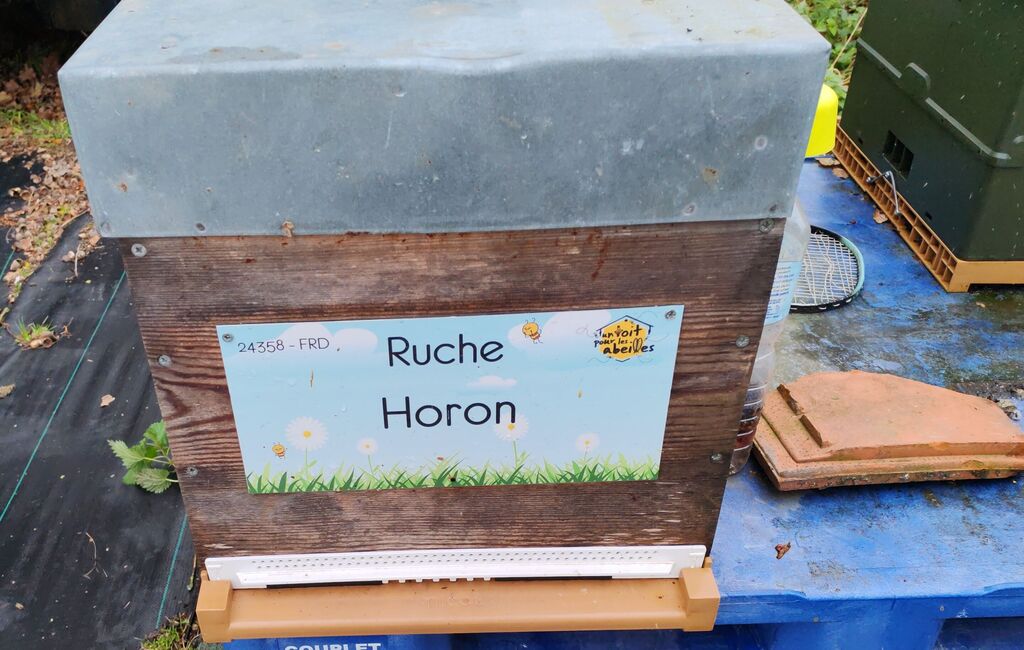 La ruche Horon