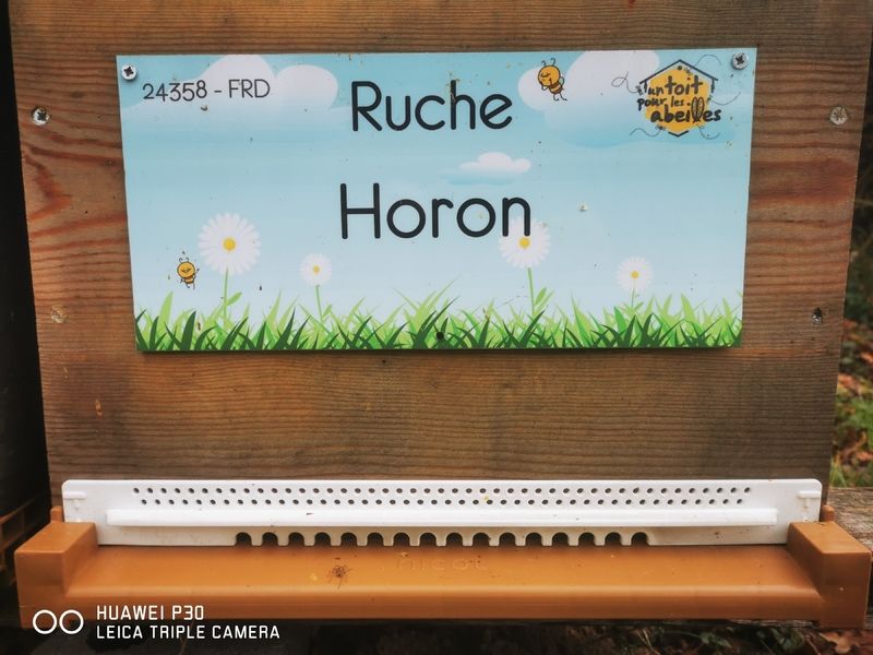La ruche Horon
