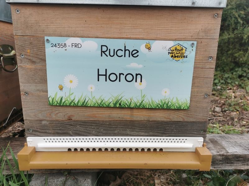La ruche Horon