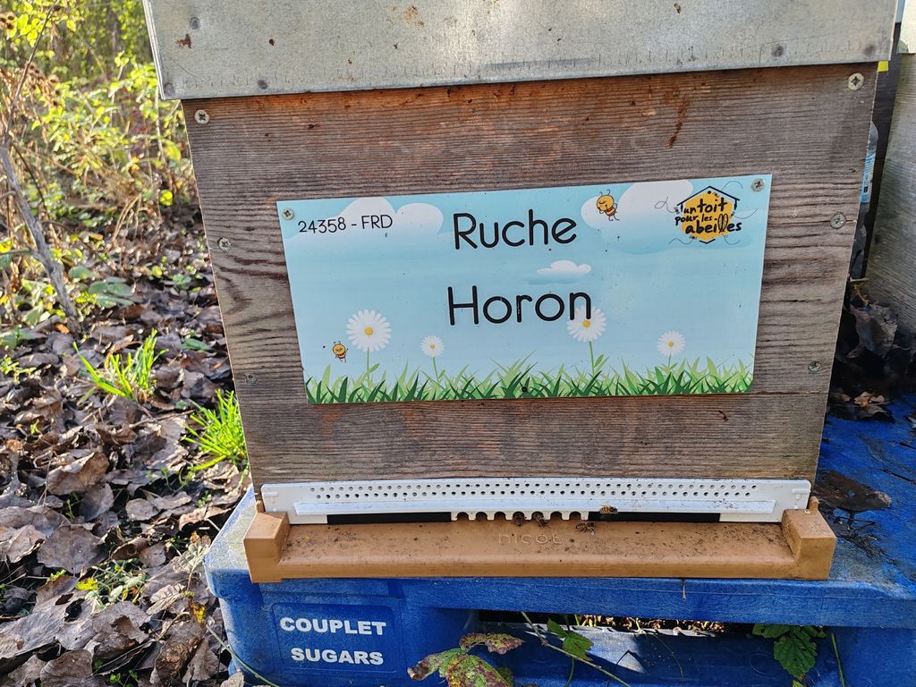 La ruche Horon