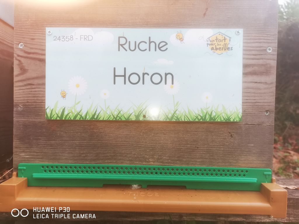 La ruche Horon