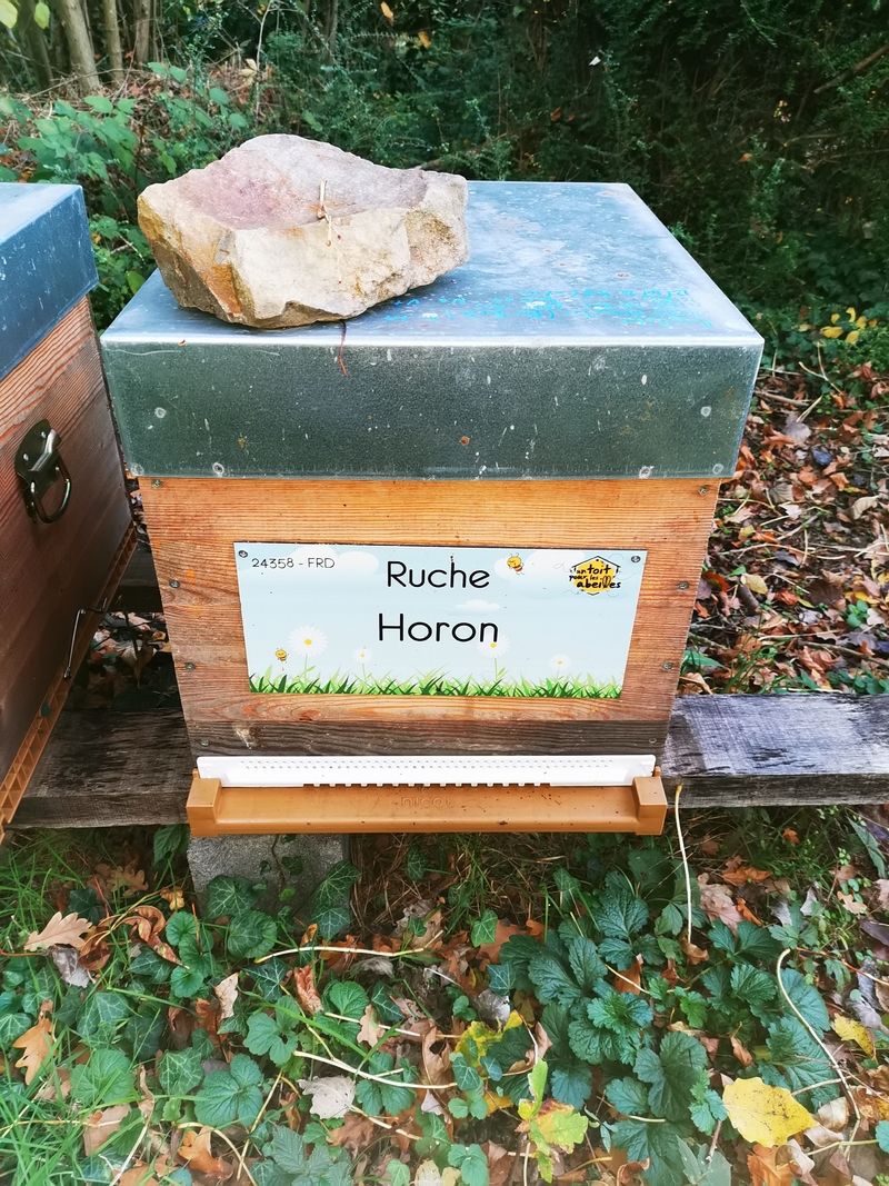 La ruche