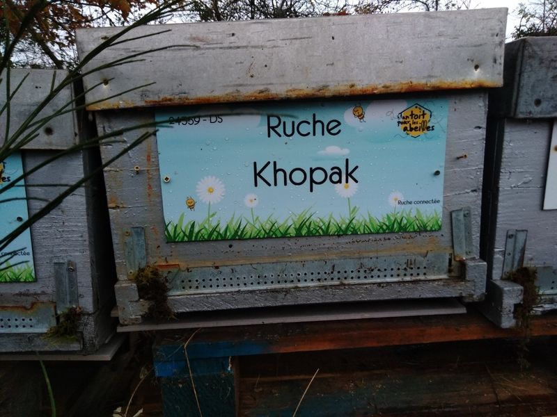 La ruche