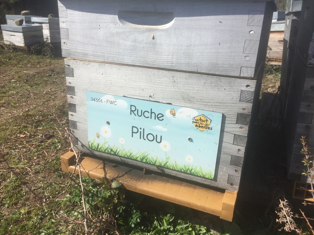 La ruche Pilou