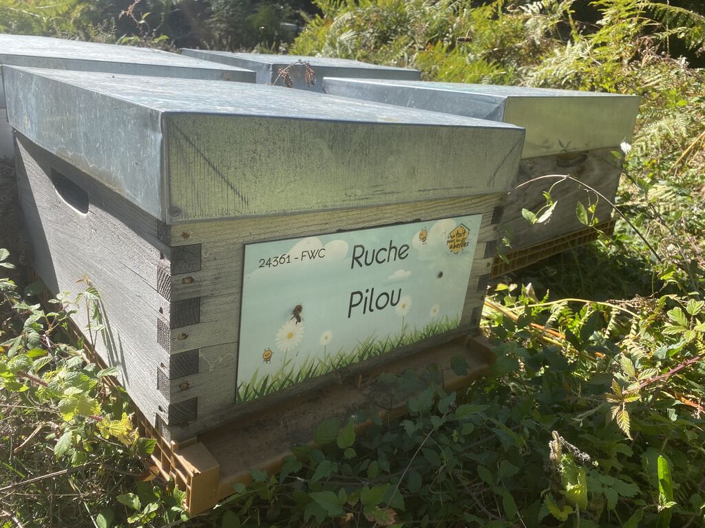 La ruche Pilou