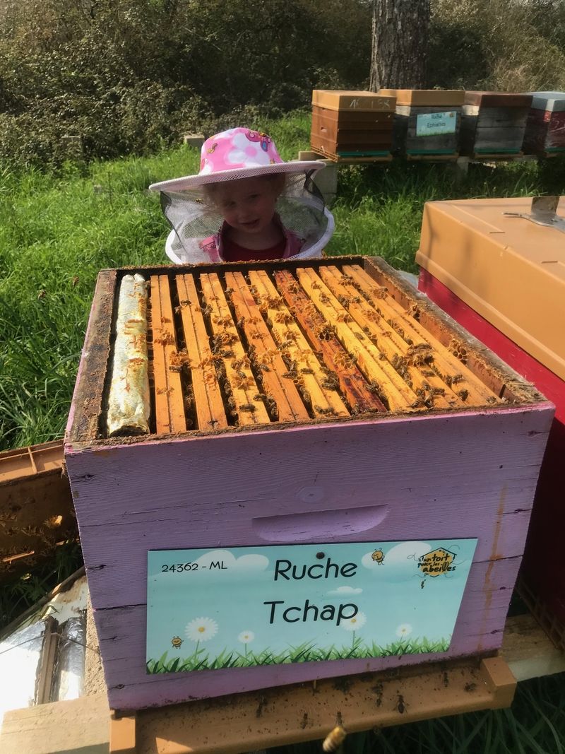 La ruche Tchap