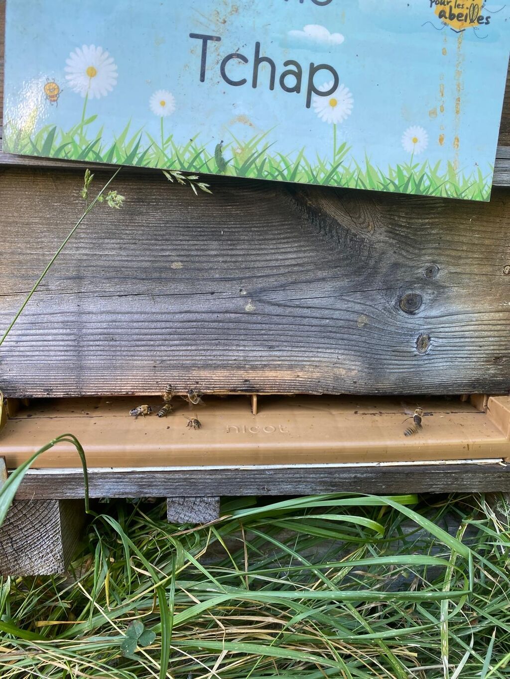 La ruche Tchap