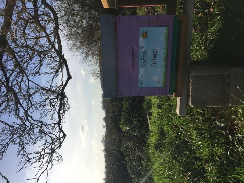 La ruche Tchap