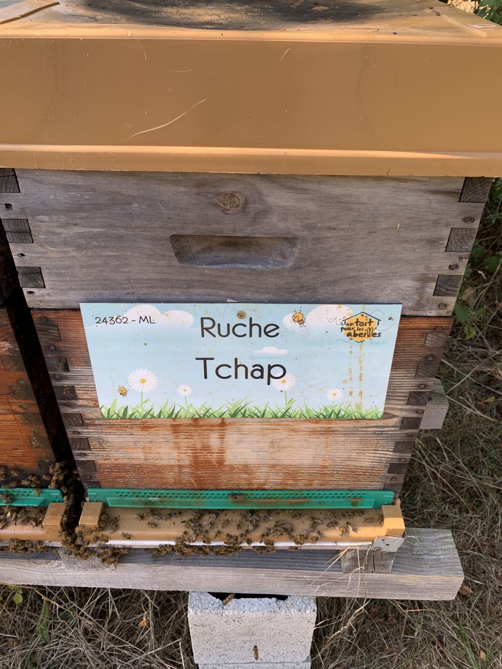 La ruche Tchap
