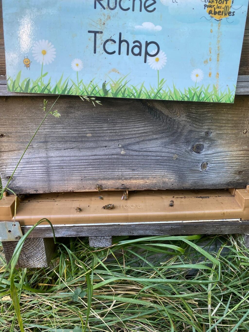 La ruche Tchap