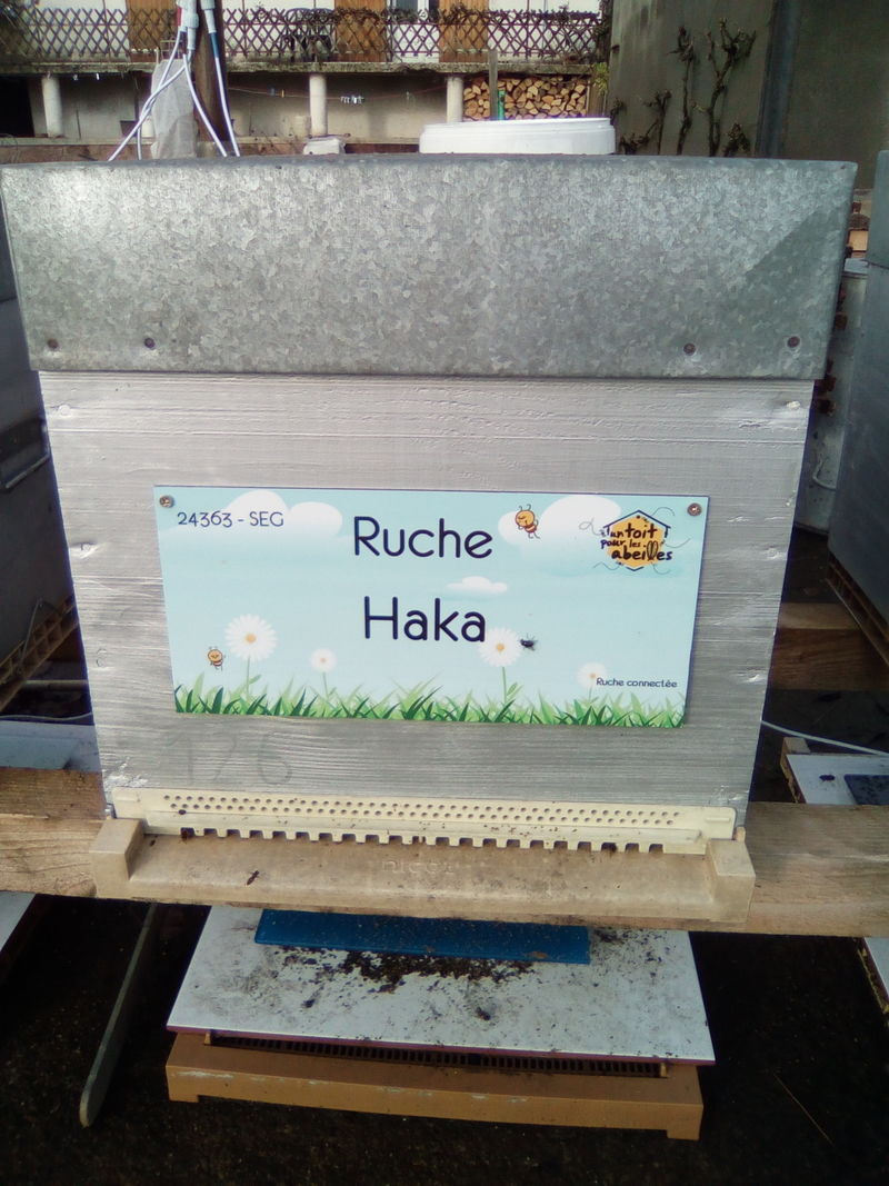 La ruche