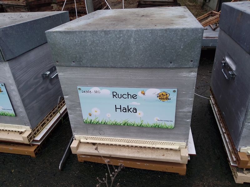 La ruche