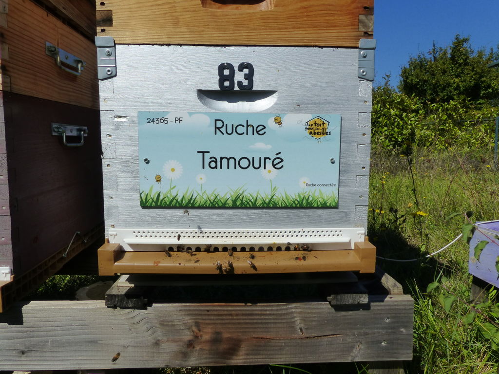 La ruche Tamouré