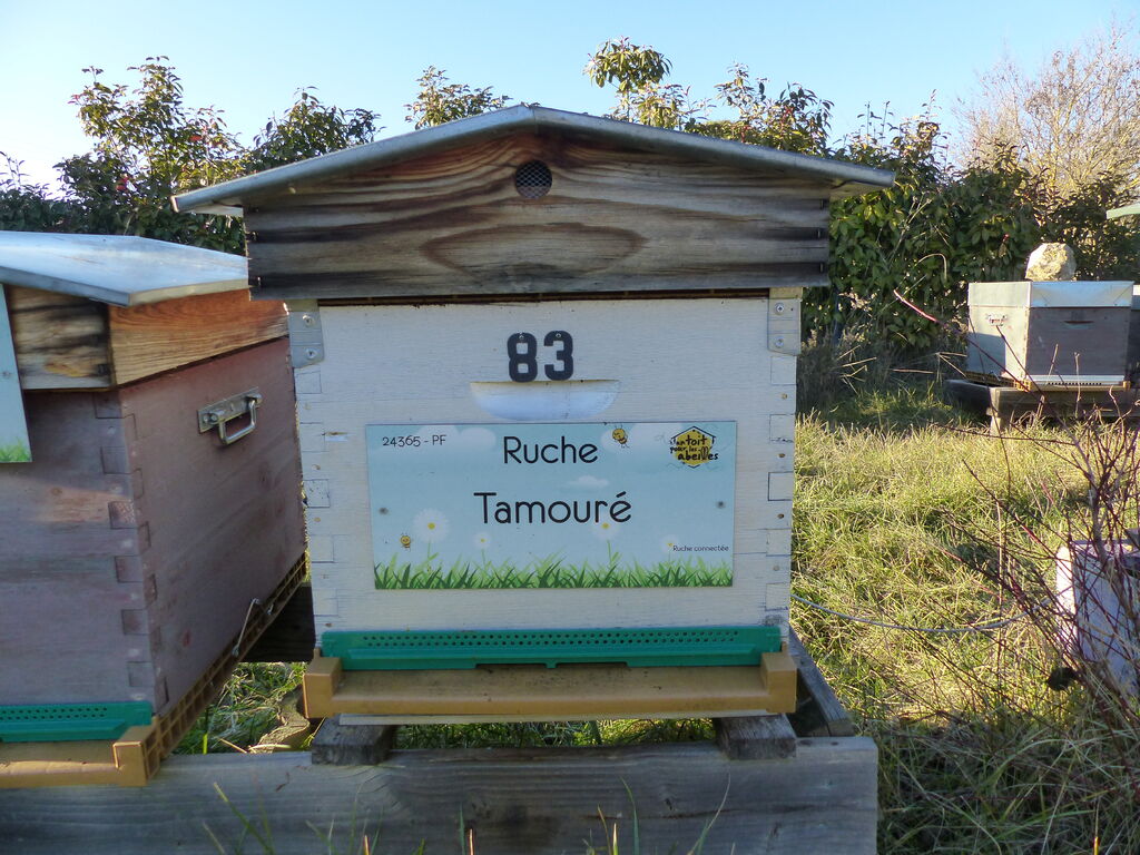 La ruche Tamouré