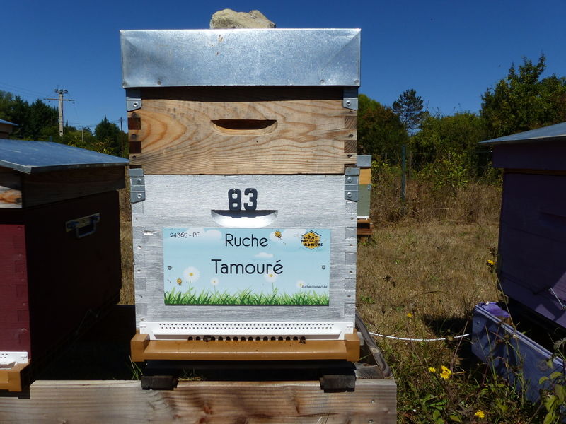La ruche Tamouré