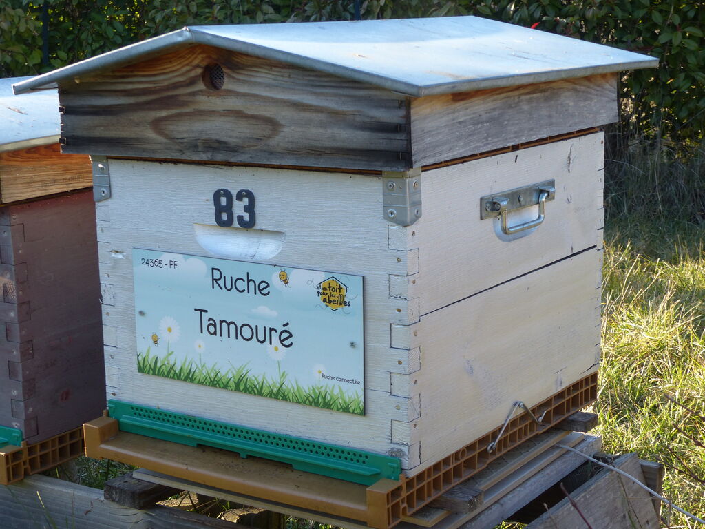 La ruche Tamouré
