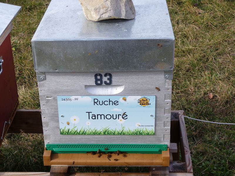 La ruche Tamouré