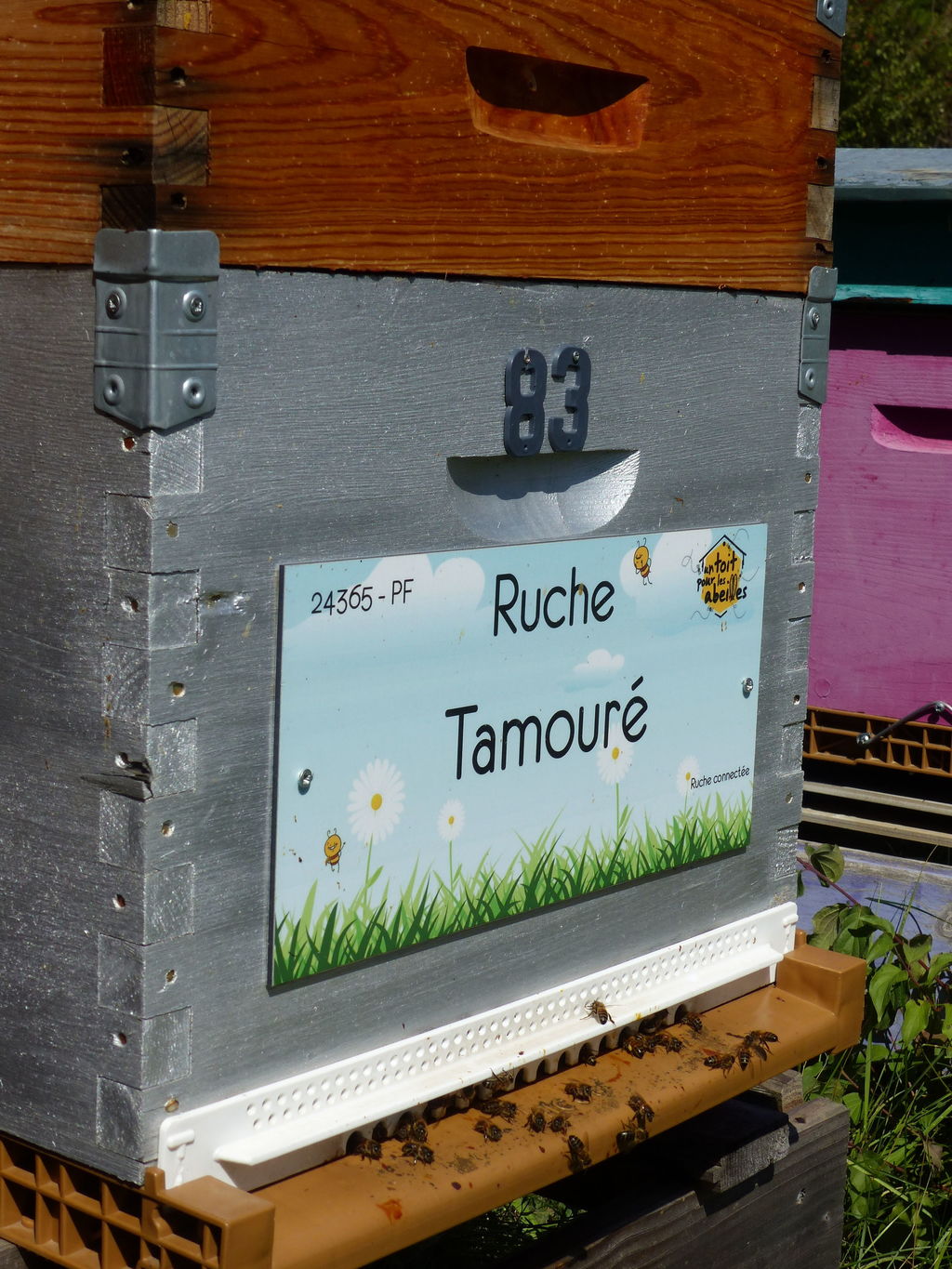 La ruche Tamouré