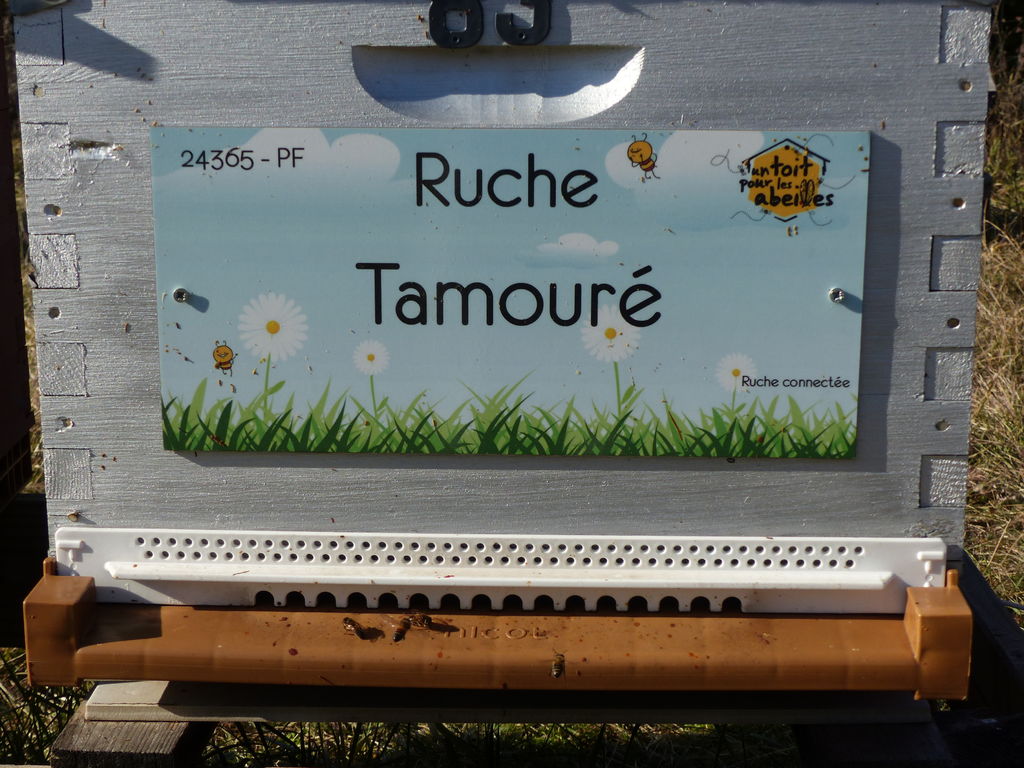 La ruche Tamouré