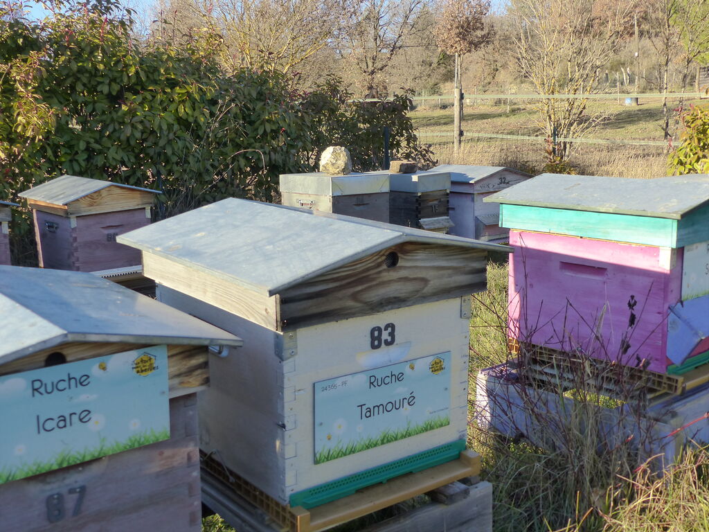 La ruche Tamouré