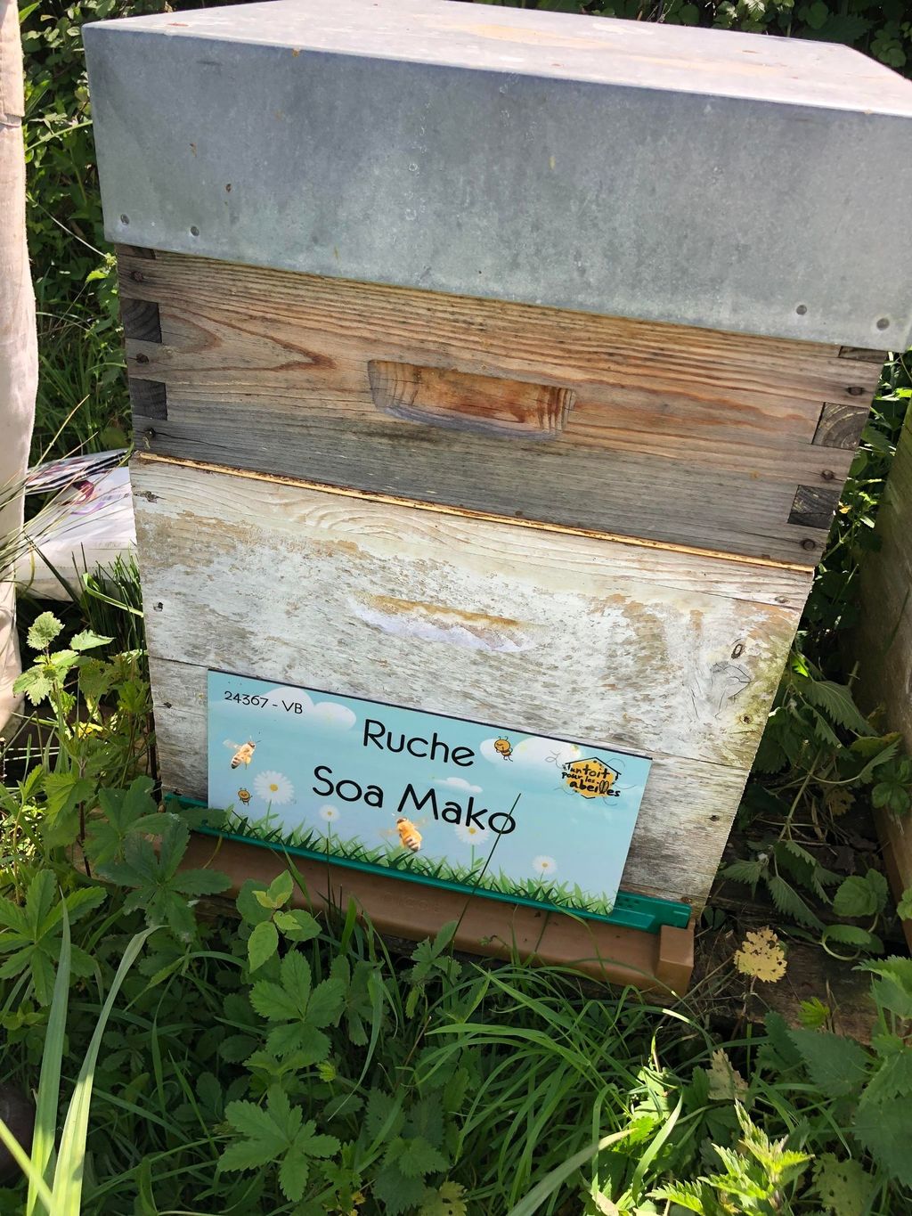 La ruche Soa Mako